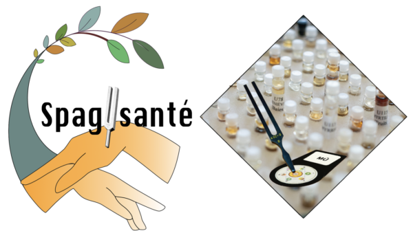 Formation Spagysanté